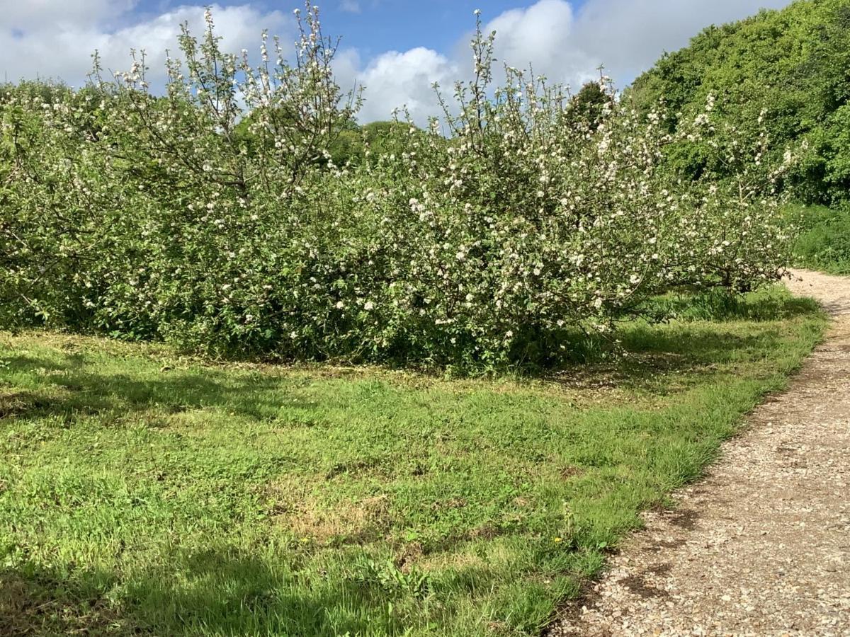 Appartamento polgoon Vineyard annex Penzance Esterno foto