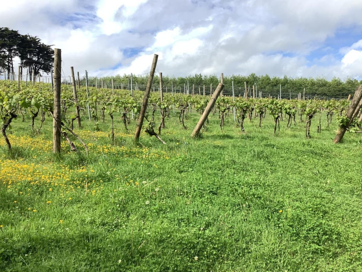 Appartamento polgoon Vineyard annex Penzance Esterno foto