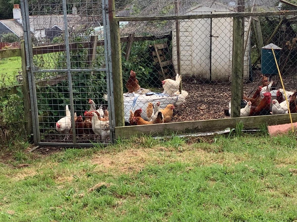 Appartamento polgoon Vineyard annex Penzance Esterno foto